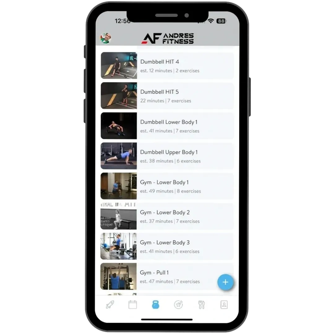 Andres Fitness Trainerize app on iPhone displaying structured online coaching workouts